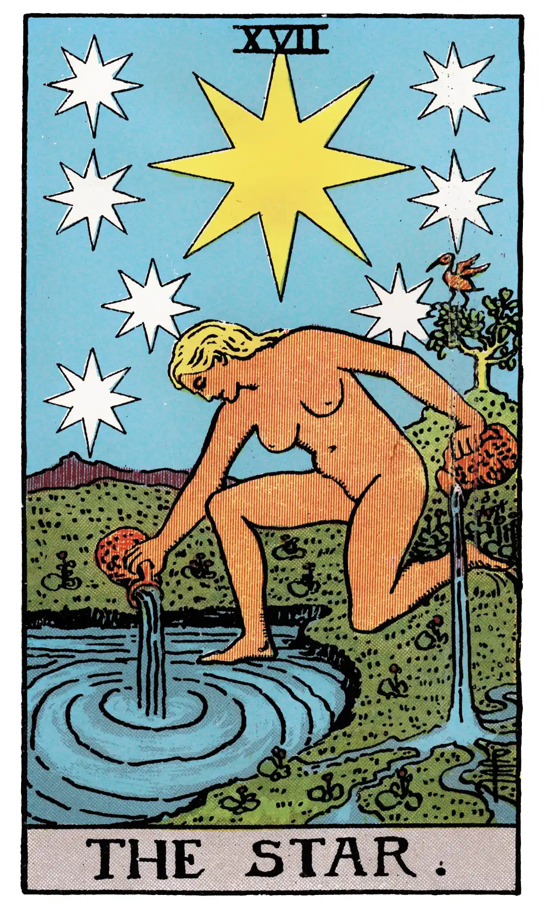 the star